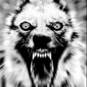 Meet your Posher, Daniell